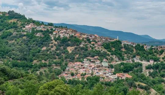 Nakliyat